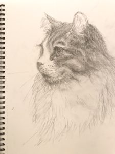 初心者向け 猫の描き方 色鉛筆で可愛い猫の絵を簡単に描こう 下絵から顔まで 猫と絵画と