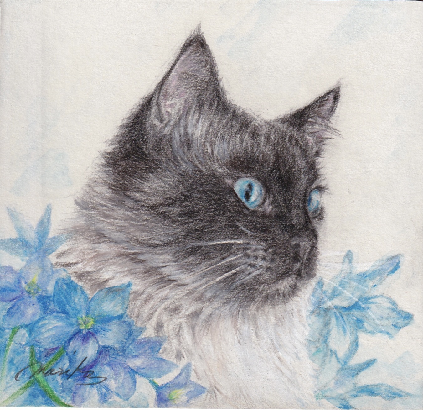 初心者向け 猫の描き方 色鉛筆で可愛い猫の絵を簡単に描こう 画材編 猫と絵画と
